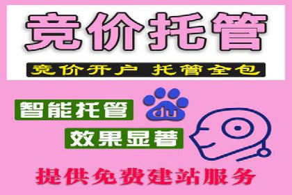 SEM托管服务案例：精准定位，高效转化